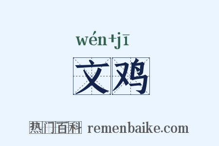 文鸡是什么意思的图片